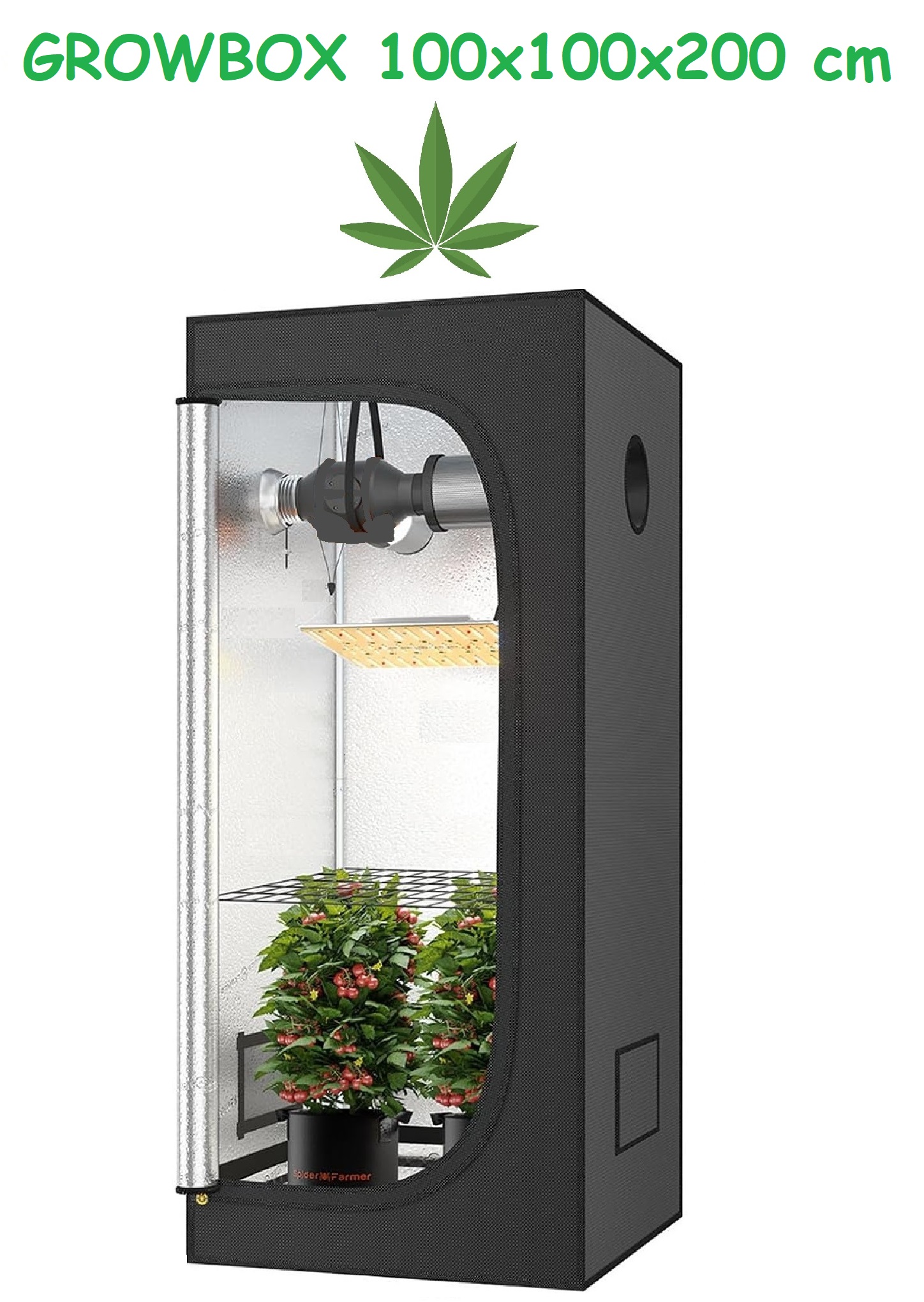 JUNG Growbox Growzelt Indoor 100x100x200cm Gewächshaus Cannabis Balkon Grow Tent